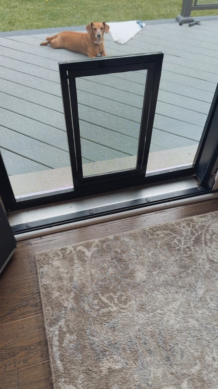 Amazon finds
Doggy door
Dog mom
Pet finds
Summer essentials
Home finds

#LTKsummer #LTKfamily #LTKhome