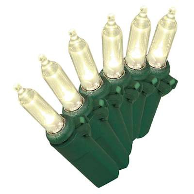 100-Count Warm White LED Mini String Lights with Green Wire | At Home