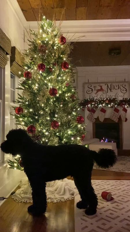 Christmas tree decor / my favorite christmas essentials / christmas style / my rugs styled for christmas / christmas sign / christmas tree / christmas garland / my rug 

#LTKhome #LTKHoliday #LTKSeasonal