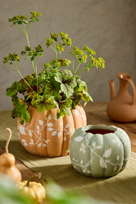 Autumn Pumpkin Terracotta Planter | Anthropologie (US)