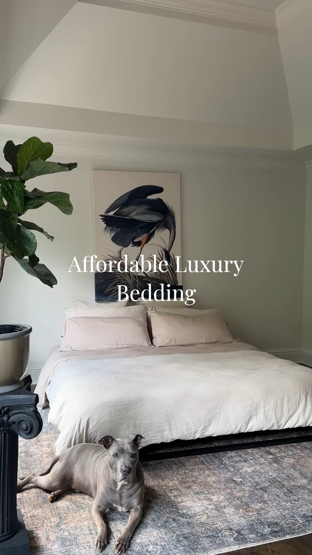 Can confirm this bedding makes your sleep soo much more enjoyable (if that wasn’t possible already!) 

Bamboo Sheets: color sand 
European Linen Duvet Color: Sand
Silk pillowcases: Champagne 

For new customers, get 10% off using my code: INFG-25Rebelssanctuary10 

#LTKHome