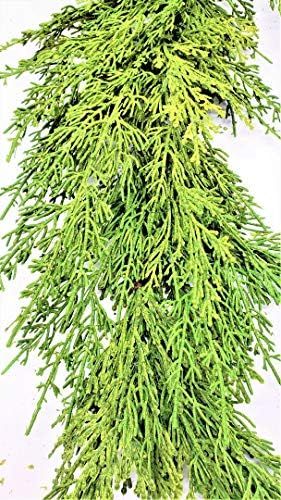 Amazon.com: Evron International G841 Artificial Green Faux Cedar Garland Christmas Decor 5' Lengt... | Amazon (US)