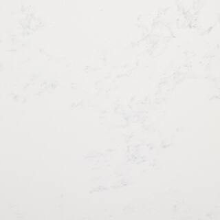 STONEMARK 4 in. x 4 in. Quartz Countertop Sample in Calacatta Vicenza with Matte Finish-P-QSL-CAL... | The Home Depot