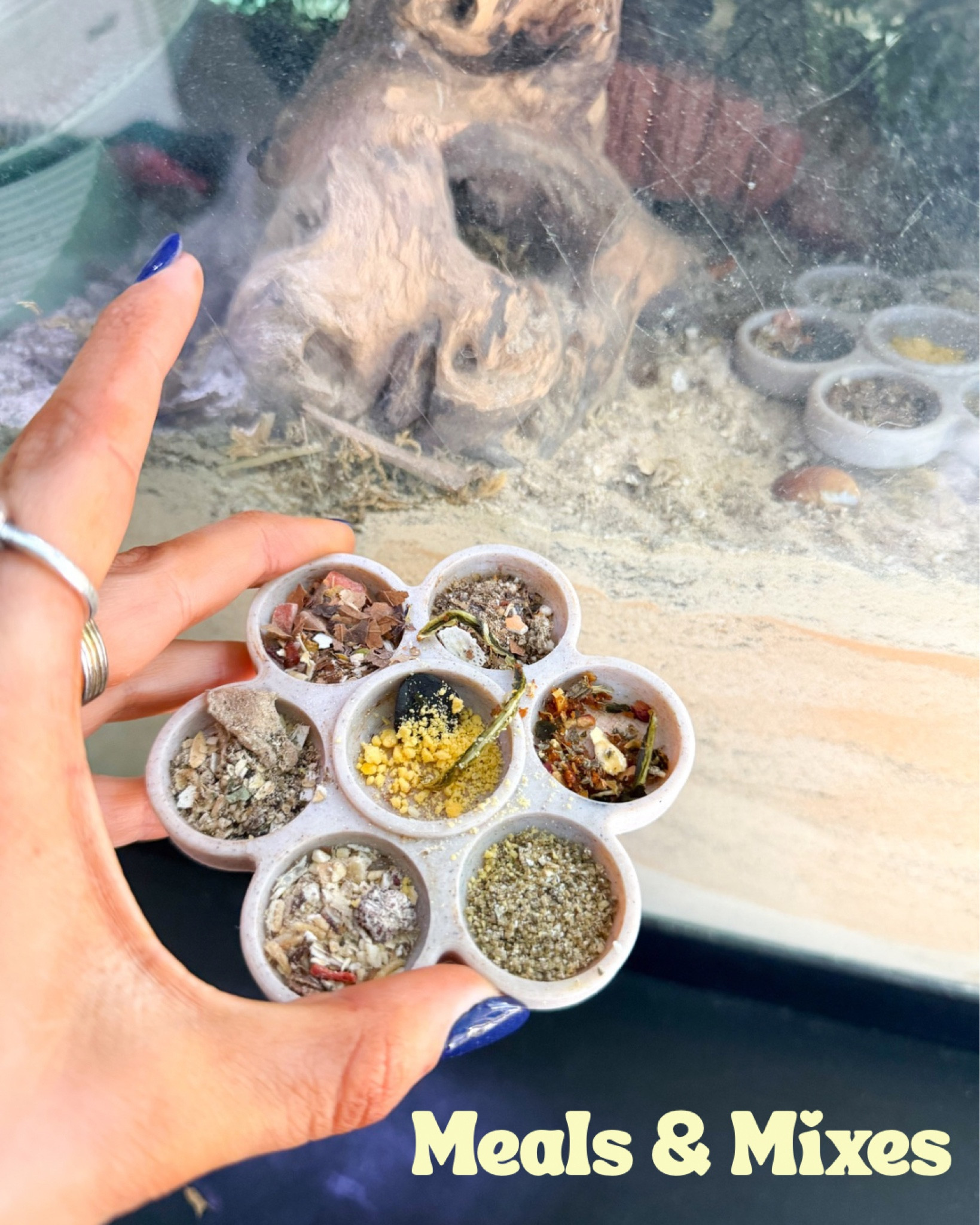 Hermit crab meals and mixes 