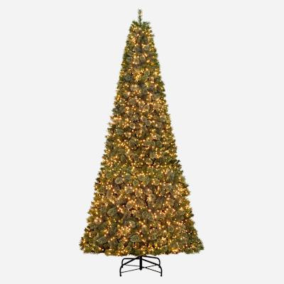 (D1) Pre-Lit LED Grand Capital Pine Christmas Tree, 12' | At Home