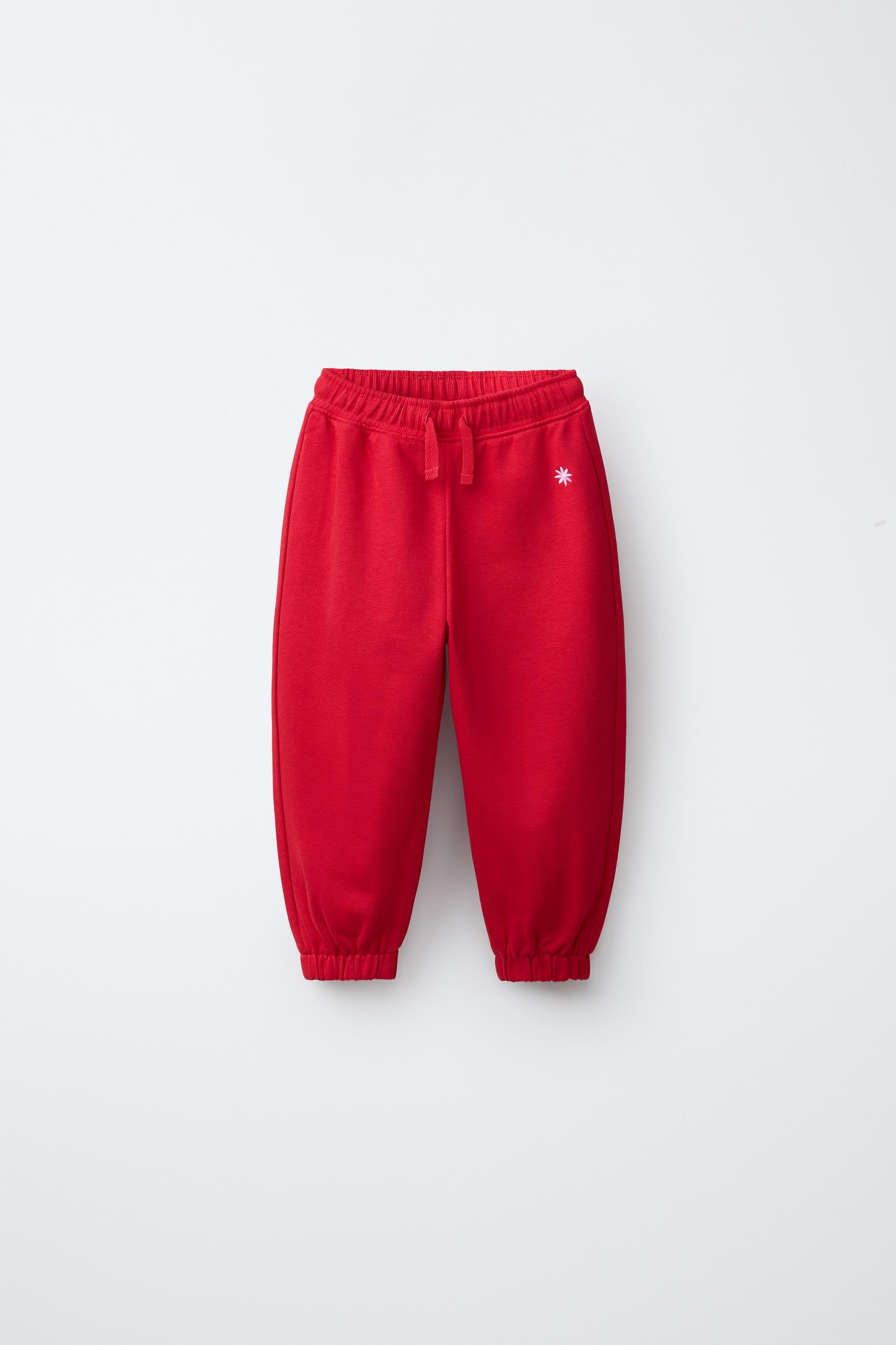 DAISY EMBROIDERED PLUSH PANTS | Zara US