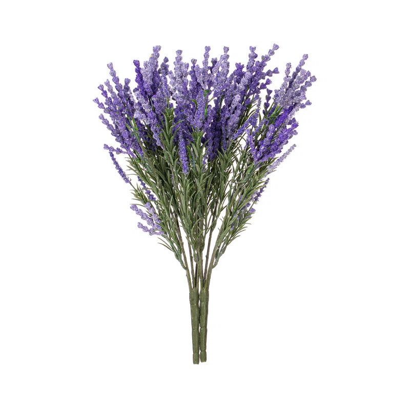 Primrue Lavender | Wayfair | Wayfair North America
