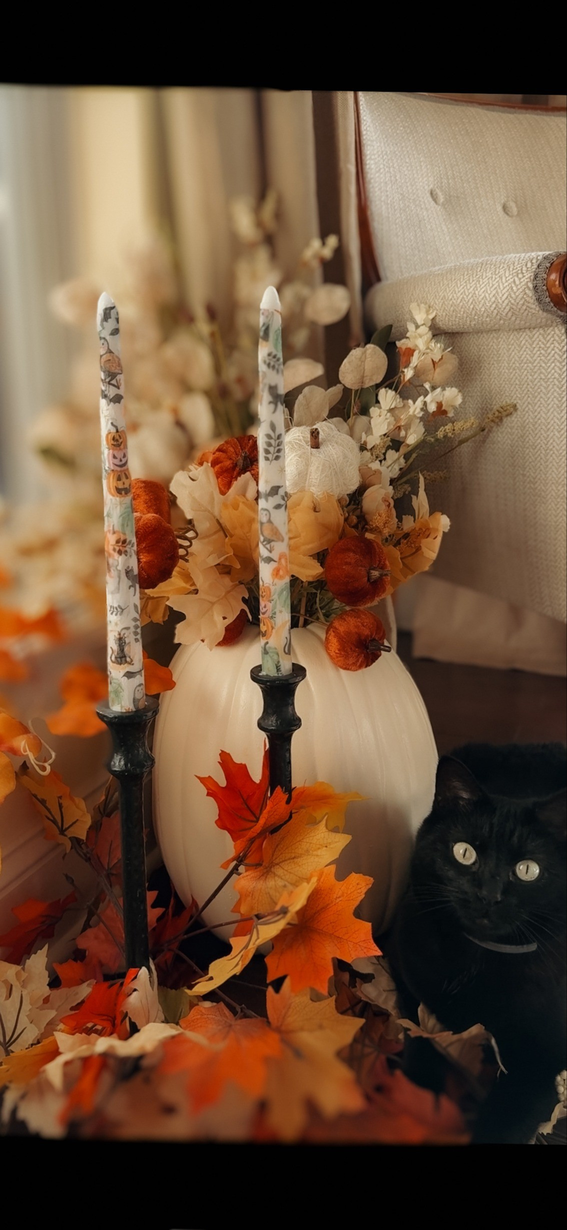 Decorating your house yet for fall? I am! Can you spot my black cat Lu ready for the season too? 

#LTKSeasonal