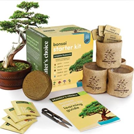 Bonsai Kit

#LTKSeasonal #LTKHoliday #LTKGiftGuide