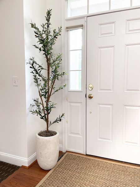Amazon Prime Day deal! My entryway olive tree is on sale for $66 today! It’s the best price I’ve seen on this faux tree! I have the 82” tree and my rug is 3x5.

Home decor, Amazon home, olive tree, artificial tree, beige rug, neutral home decor, entryway decor, foyer decor, prime day

#LTKhome #LTKunder100