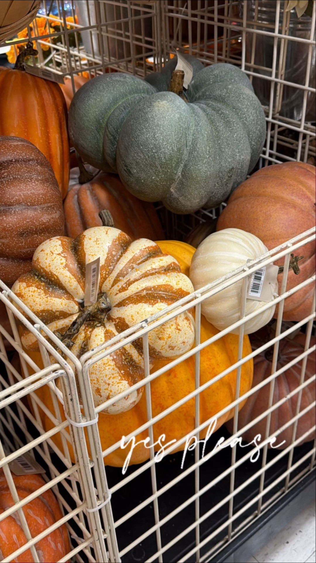 @Michaels has some of the best pumpkins this year! Currently on sale too!

#LTKdayinmylife #LTKSaleAlert #LTKHome