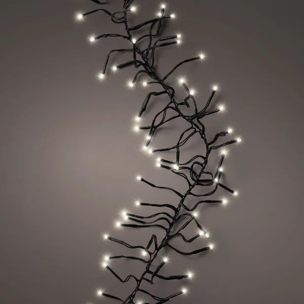 Rosenstein 44' 1512 LED Cluster light string with 8 twinkle functions | Wayfair Professional