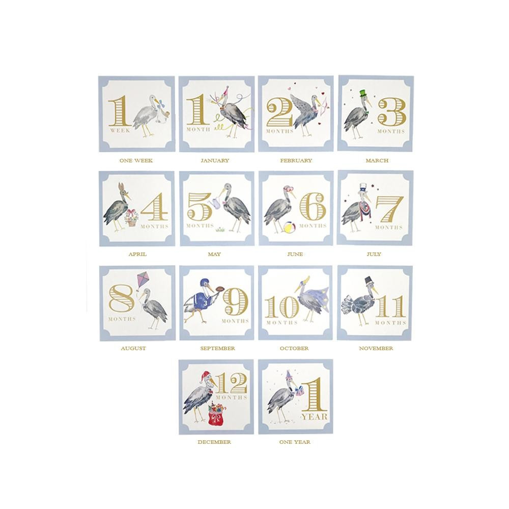 Sir Proper's Month Markers | The Beaufort Bonnet Company