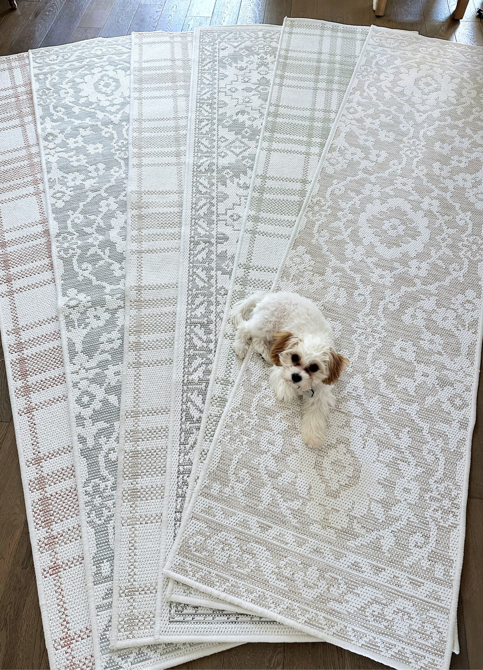 New machine washable runners by My Texas House at Walmart! 

#LTKFind #LTKhome #LTKSeasonal