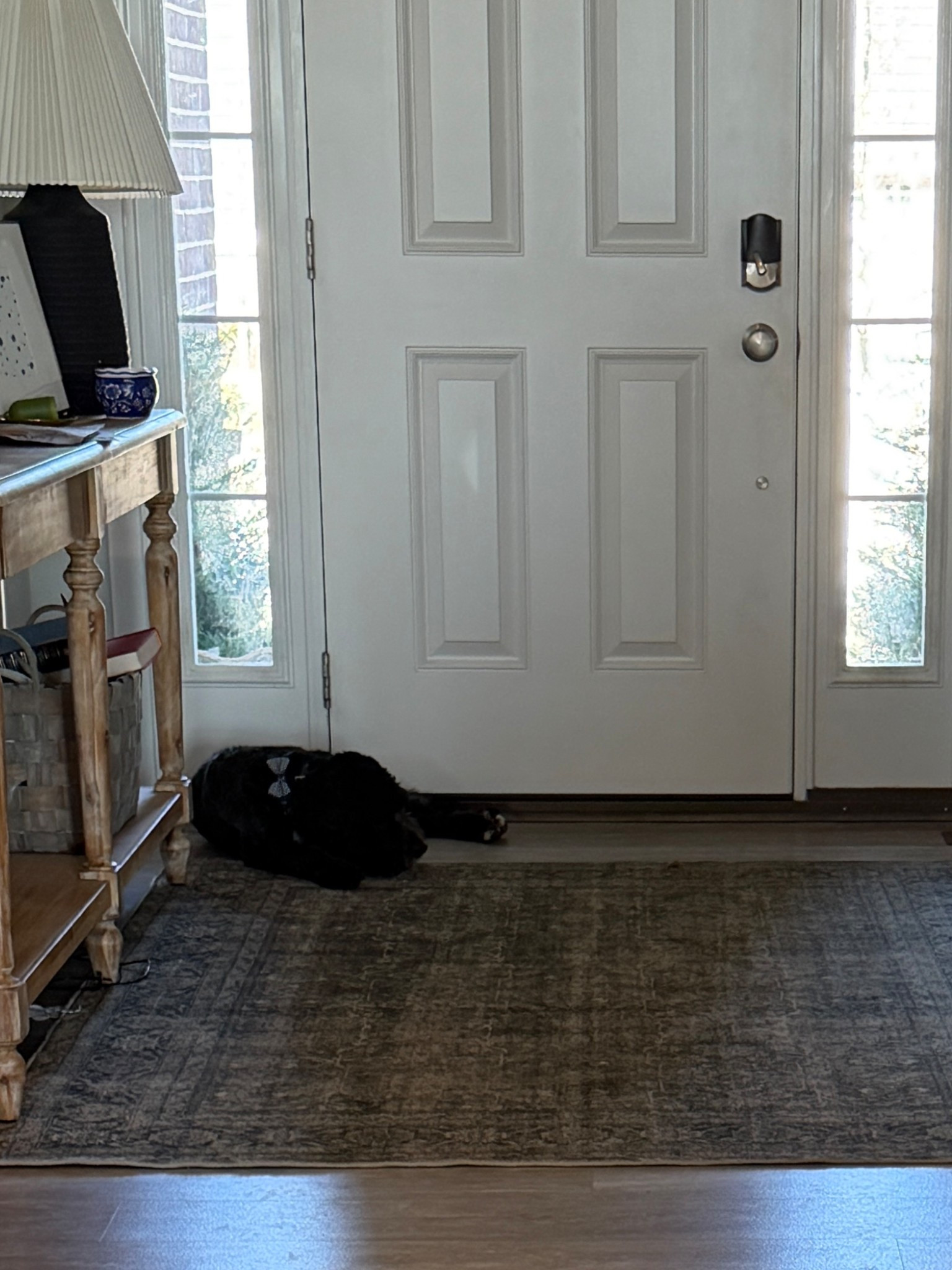 A new spot on the new rug…
#amazonfind #washablerug #homedecor #dogs

#LTKOver40 #LTKHome #LTKdayinmylife