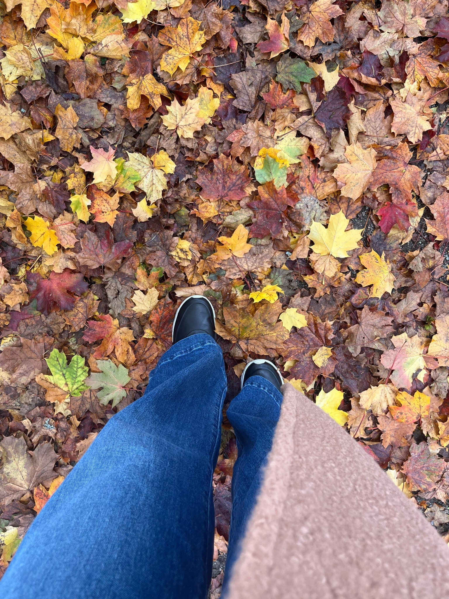 Hello October - here are some chic sneaker favorites for the season 🍂 

#LTKSeasonal #LTKShoeCrush