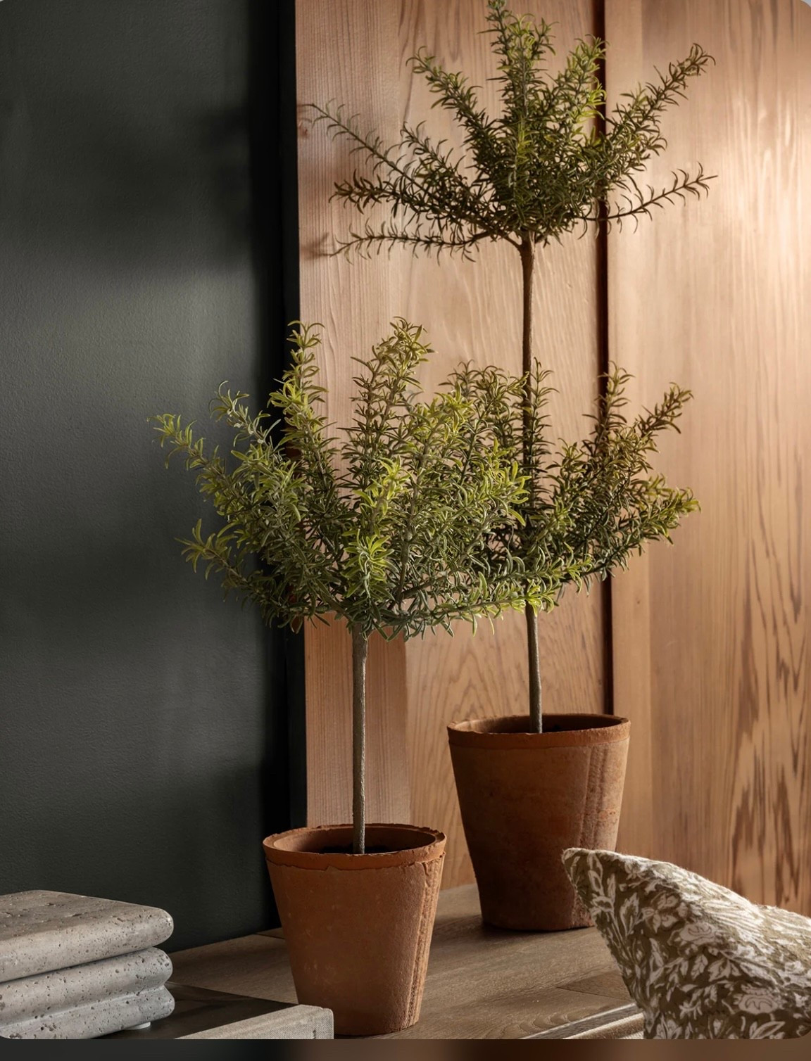 Coming soon to Nats Blessed Nest🤎
Potted Faux Rosemary Topiary💚

#LTKSaleAlert #LTKSpringSale #LTKHome