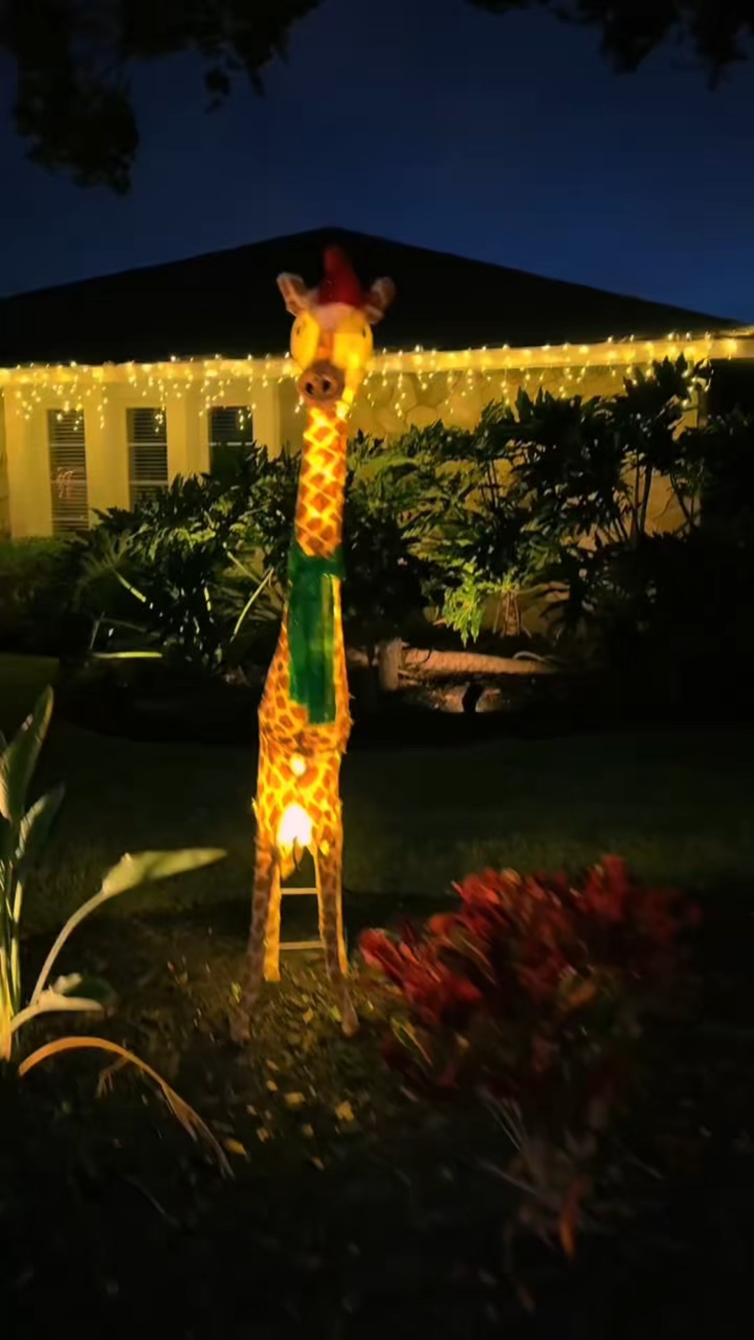 Florida Christmas! My giraffe is on his 12th year & still kicking! Sadly, I’ve never found him again to buy a backup but my pelican & flamingo are new and available! 

Christmas lights / Christmas decor / outdoor decorations / Florida Christmas 

#LTKSeasonal #LTKHoliday