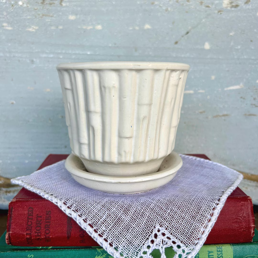 Vintage McCoy Pottery Bamboo Planter with Attached Saucer in White | Etsy (US)