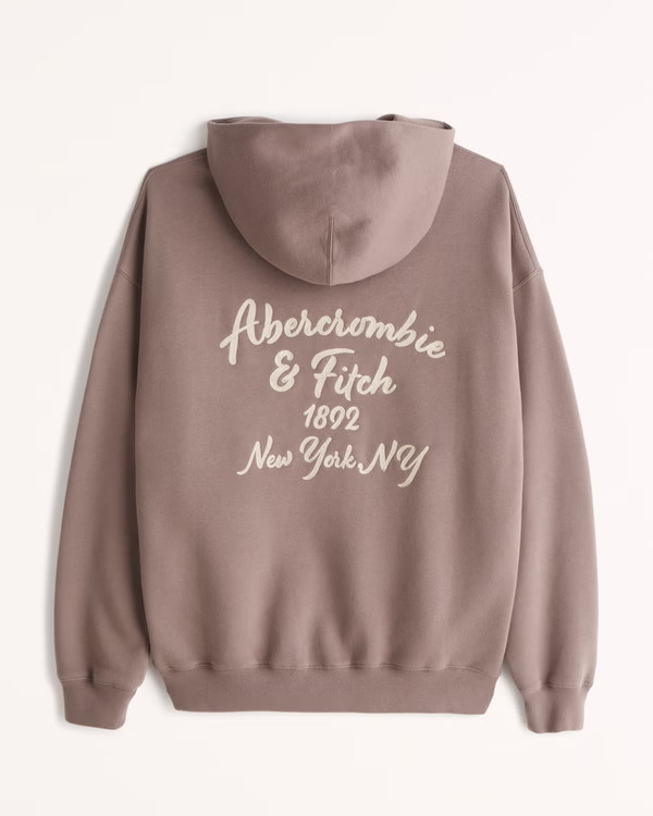 Embroidered Logo Popover Hoodie | Abercrombie & Fitch (US)
