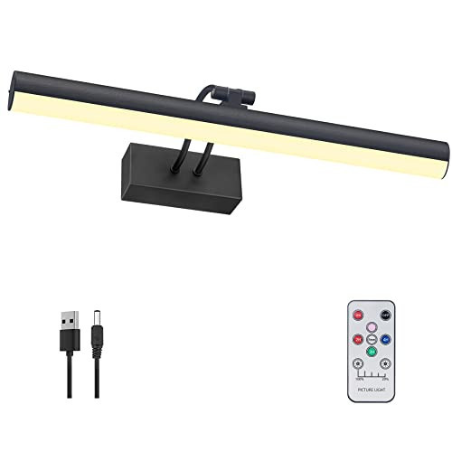 RAIFOOLLY Picture Light,Rechargeable Art Lights for Paintings,Remote Control Display Accent Light with Timer and Dimmable for Mirror,Frame,Portrait,Dart Board-L-Black | Amazon (US)