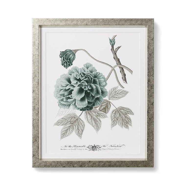 Porcelain Blue Botanicals Giclée Prints | Frontgate | Frontgate
