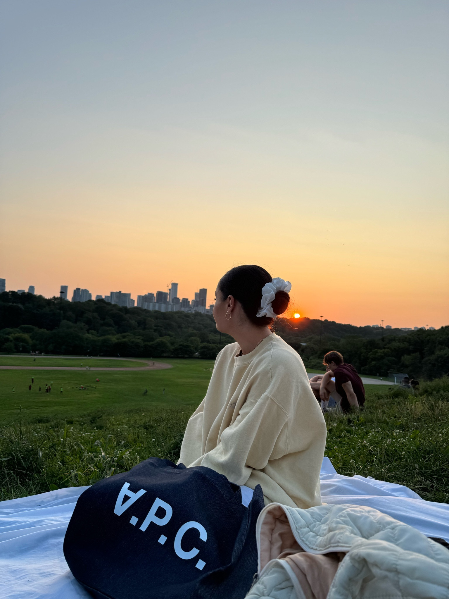 city picnic 

#LTKcanada #LTKstyletip #LTKsummer