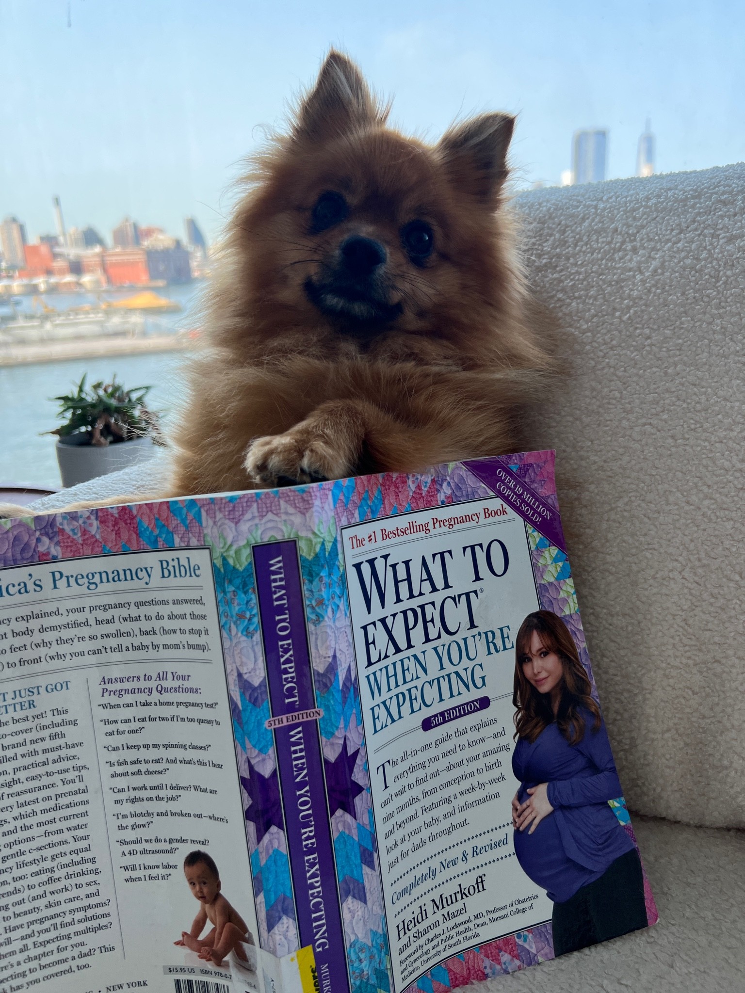 #LTKfamily #LTKbaby #LTKbump