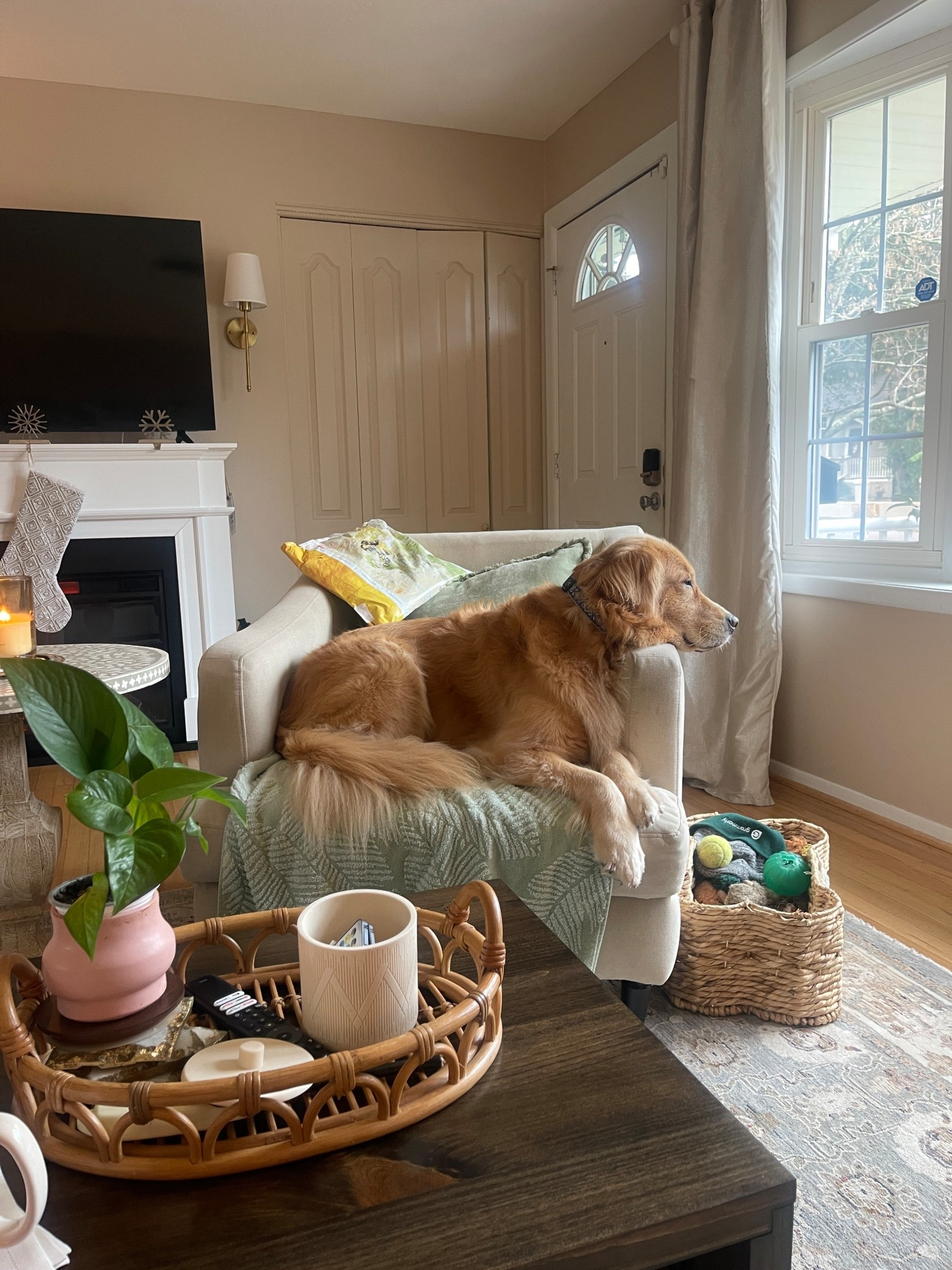 Cozy living room vibes 
New coffee table from Urbandi 

#livingroom #coffeetable

#LTKHome