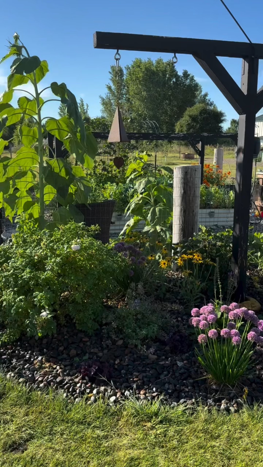 🍂 September in the garden feels like a mix of harvest + hustle. The beds are still full, the air is crisp, and I’m soaking up these last golden days before frost. 🥕🍅🌿 

What’s still growing strong in your garden this month?

#fallgarden #backyardgarden #gardener