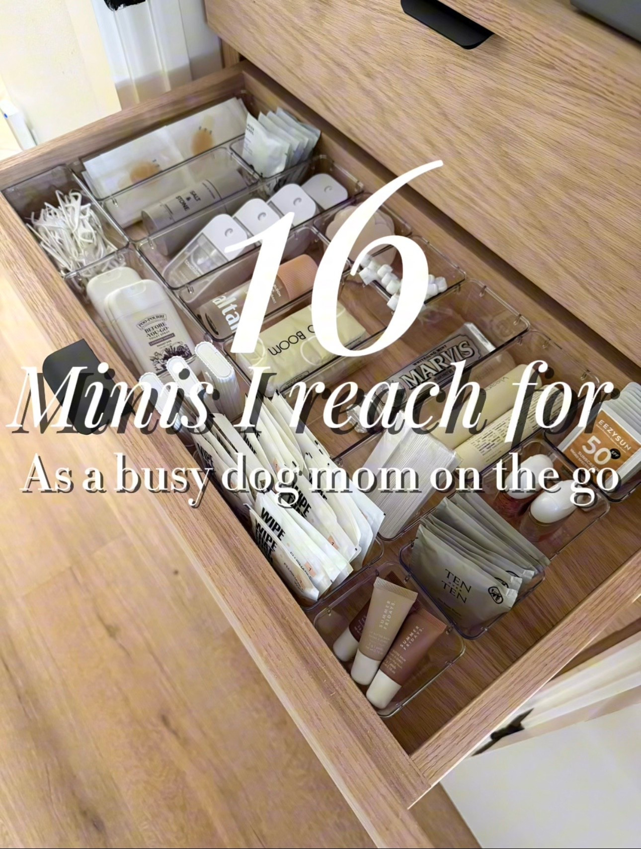 16 minis I reach for as a busy dog mom on the go