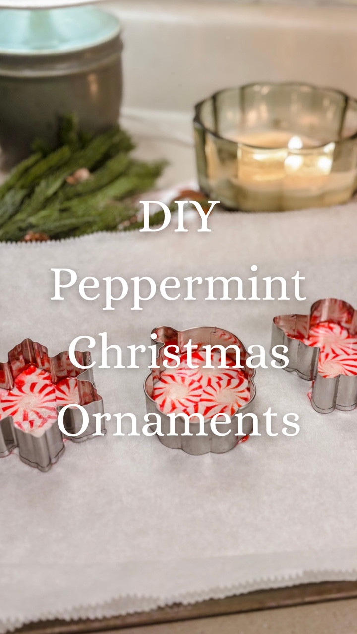 Peppermint Christmas Ornaments 

#christmastree #christmasdecor #christmas #peppermint #diy

#LTKHoliday #LTKSeasonal #LTKHome