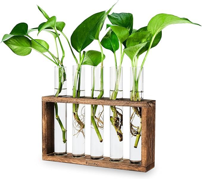 Foosibo Plant Terrarium with Wooden Stand, Wall Hanging Glass Planter Propagation Stations Flower... | Amazon (US)