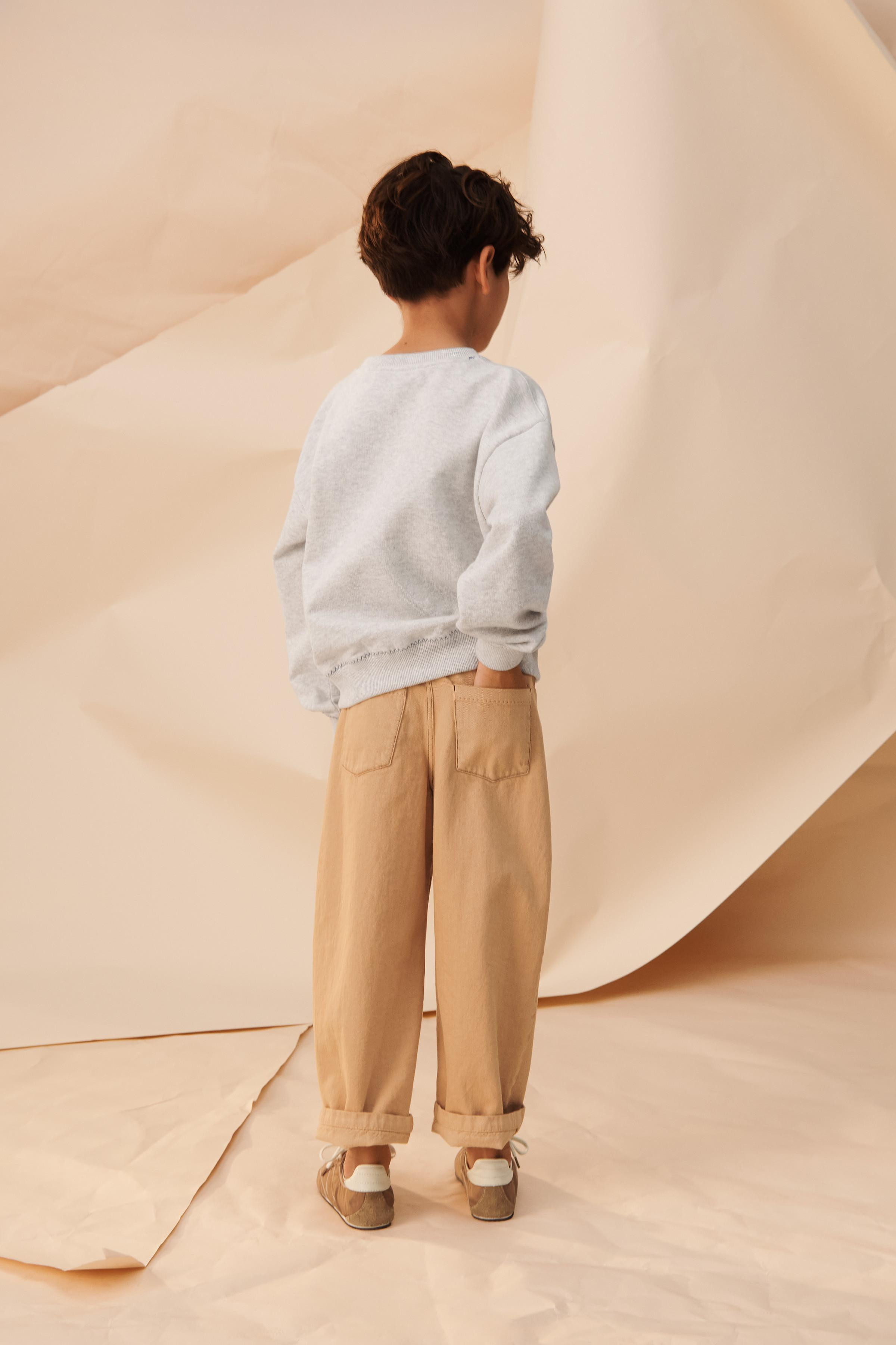 LIMITED EDITION EMBROIDERED SWEATSHIRT | Zara UK