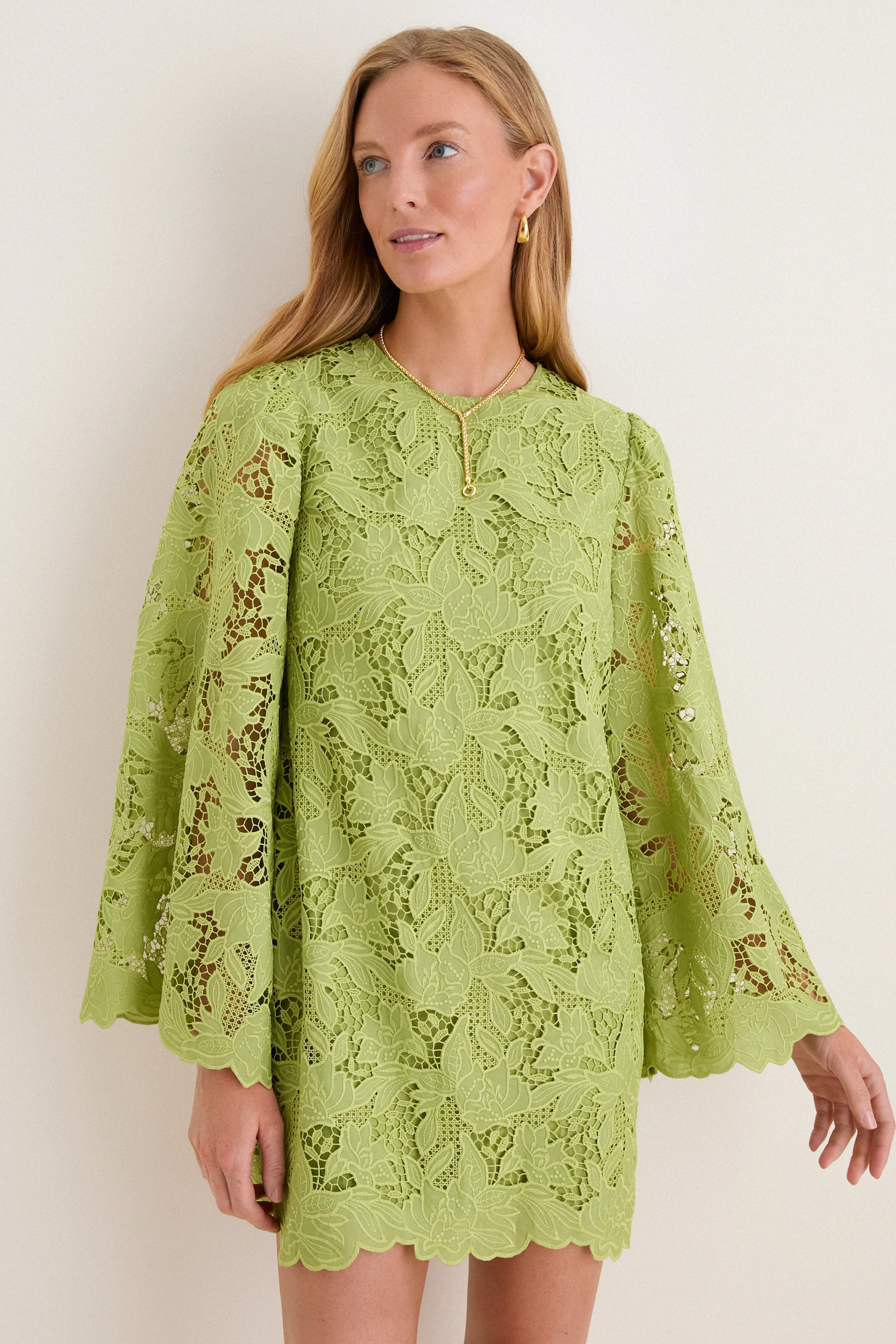 Olive Lace Livvy Mini Dress | Tuckernuck (US)