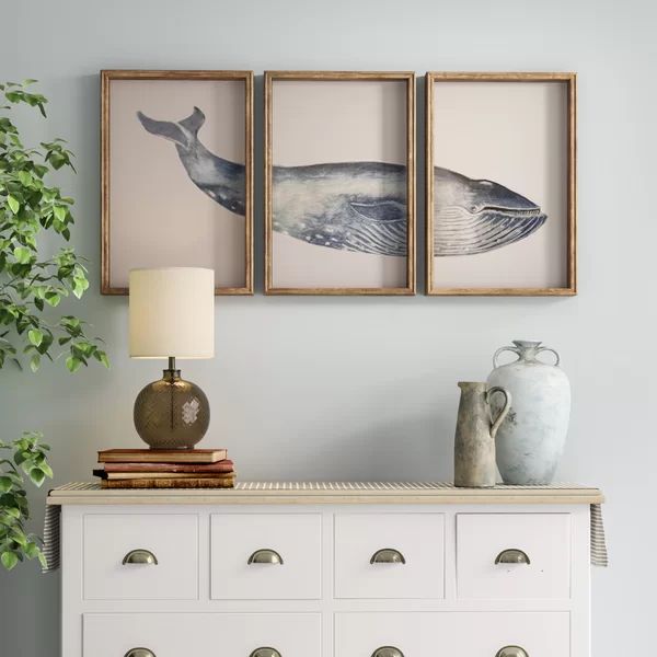 Triptych Whale - 3 Piece Picture Frame Print on Glass | Wayfair North America