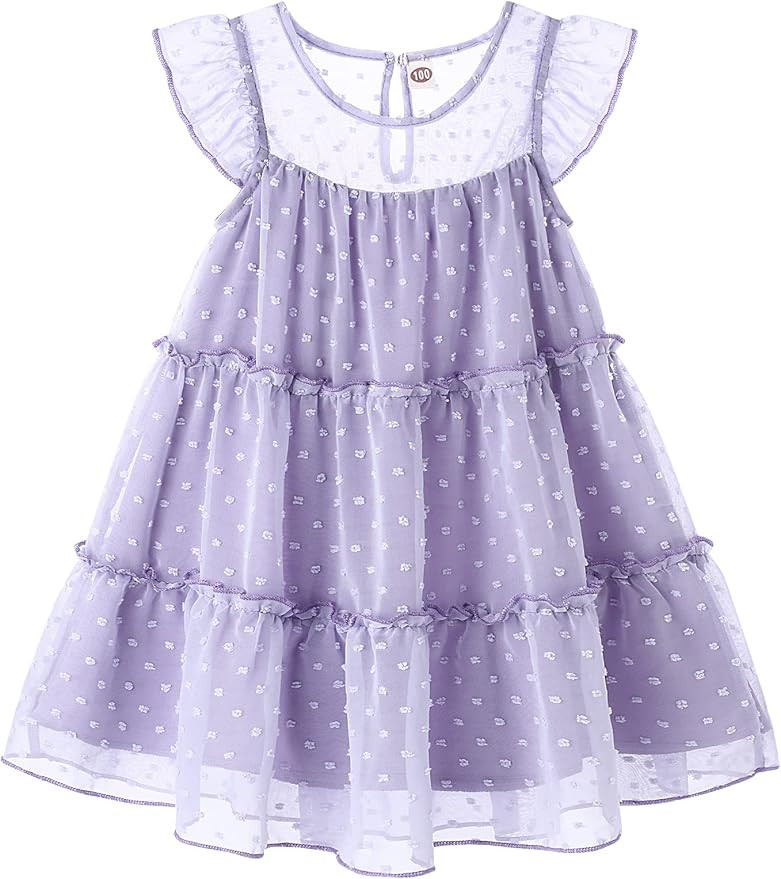 Toddler Baby Girl Dresses Ruffle Sleeve Swiss Dot Mesh A Line Dress for 1-5T Girls | Amazon (US)