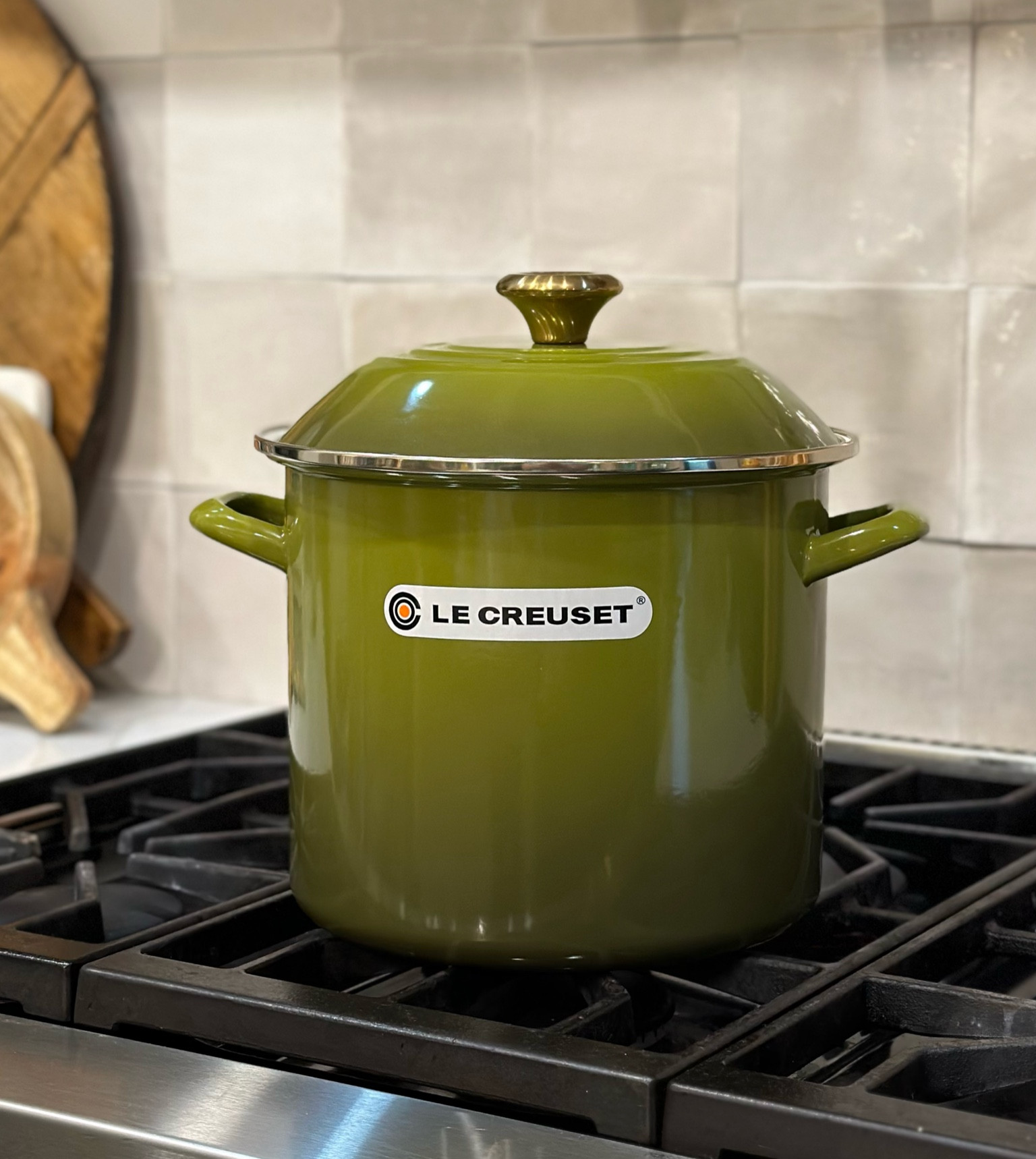 Olive Le Creuset stock pot

#LTKFind #LTKhome