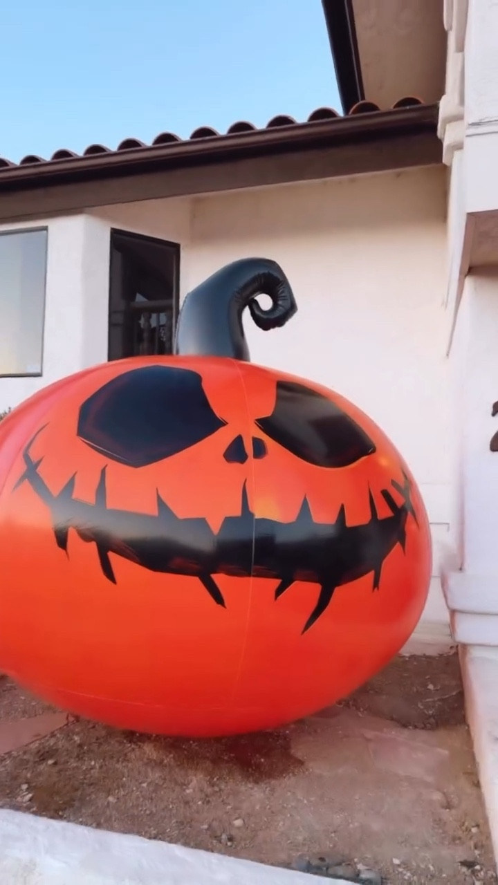 Ok! I’m getting really good at this whole gardening thing 👩🏼‍🌾⁣
.⁣
.⁣
.⁣
.⁣
.⁣
#falldecor #falldecorating #falldecoratingideas #falldecorations #fallfashion #fallstyle #fallvibes #farmhousestyle #halloweendecor #october #pumpkindecor #pumpkins #pumpkinseason #pumpkinspice #samhain #seasons #september #shoplocal #spooky #spookyseason #spookyvibes #sunflower #sweaterweather #trickortreat #vintagehalloween #warm