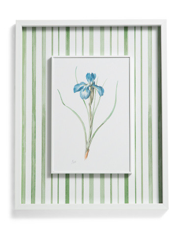 16x20 Iris Wall Art | TJ Maxx