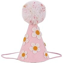 Pink Birthday Hat with White Daisy - Groovy Party Decorations, Two Groovy Birthday, Hippy Boho First | Amazon (US)