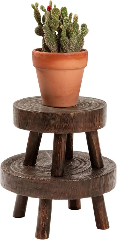 ANPHSIN 2 Pcs Mini Wooden Stool Plant Stand - 5.5"/6.7" Dia Small Desktop Flower Pot Display Shel... | Amazon (US)