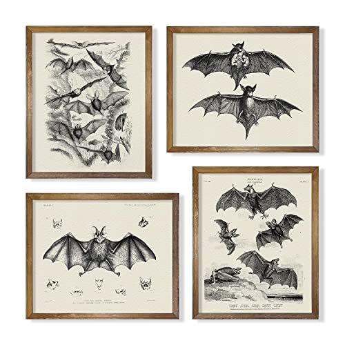 Whimsigothic Bats Wall Art Decor - Gifts for Vampire Fans - Vintage Goth Gothic Wall Decorations ... | Amazon (US)
