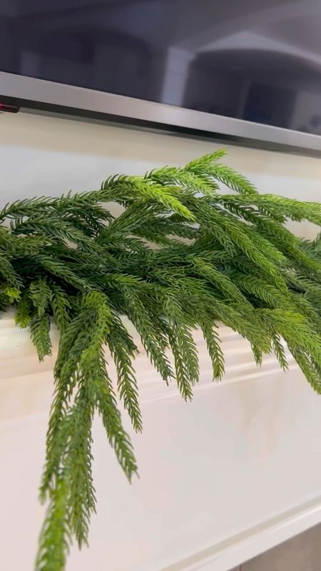 This Norfolk Pine Garland from Kirkland’s is gorgeous! It’s so full and pretty and at a great price! It’s perfect for our Christmas mantel decor! Christmas garland, Norfolk Pine, Kirkland’s Christmas greenery 

#LTKSeasonal #LTKHoliday #LTKfindsunder50