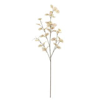 Cream Seed Eucalyptus Stem by Ashland® | 41" | Michaels® | Michaels Stores