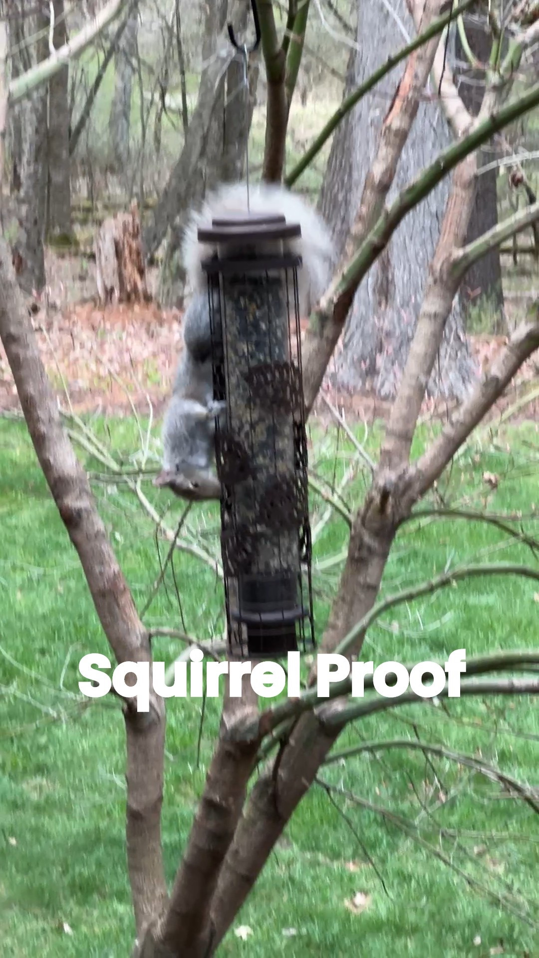 I smile watching the birds when they come to this bird feeder but I laugh watching the squirrels and their frustration! 
kimbentley, squirrel proof bird feeder, outdoor patio

#LTKHome #LTKSeasonal #LTKWedding