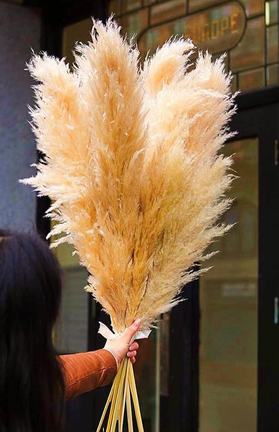Emir&Odin 40" inch 15 Stems Natural Dried Pampas Grass – Tall, Large and Fluffy, No Shedding No... | Amazon (US)