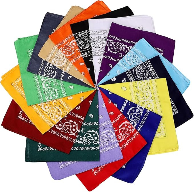 N-A 16 Pcs Bandanas Multi-Purpose Bandanas Paisley Cowboy Polyester Headbands 22x22 inch | Amazon (US)