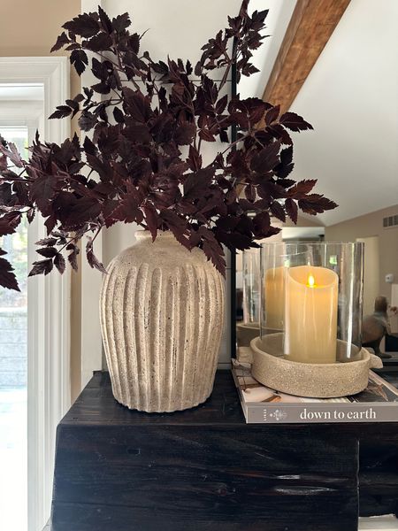 BACK IN STOCK Plum Artificial Cimicifuga Plant Leaf Spray - 31". Follow @farmtotablecreations on Instagram for more inspiration.

These gorgeous stems are finally back in stock. Receive 15% off first order  

Moody Stems | Amazon Home | neutral home decor | Loloi Rugs | home inspo | console table | console table styling | faux stems | entryway space | home decor finds | neutral decor | living room decor | cozy home | affordable decor |  home decor | home inspiration | moody stems | summer decor | spring vignette | spring decor | spring decorations | console styling | entryway rug | cozy moody home | moody decor | neutral home |

#LTKSaleAlert #LTKFindsUnder50 #LTKHome