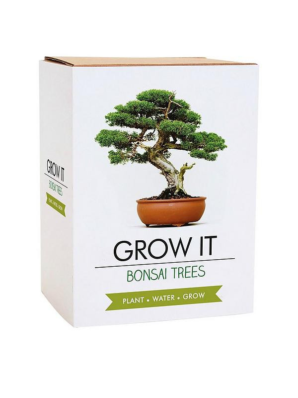 Gift Republic Bonsai Tree Plant Grow It | Very (UK)
